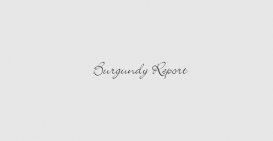 2016 Red Burgundy Report 