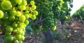 Dernière ligne droite !