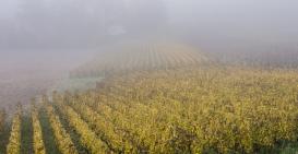 Fin d'année, arrivée de l'hiver.