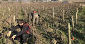 2019 : C'est parti !