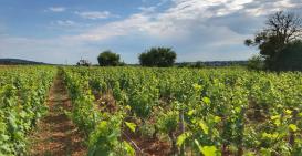 Un début d'été...chaud...